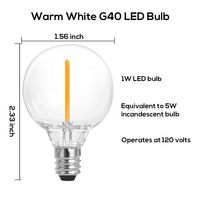 5 Watt E12 Base B22 Ampoules LED équivalentes Intérieur Extérieur Globe Guirlande Lumineuse 4000K CCT Remplacement du corps de la lampe en verre pour une utilisation en intérieur