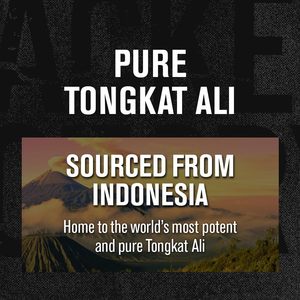 Cápsulas de Tongkat Ali de Marca Privada OEM/ODM con Polvo de Panax Ginseng, Cápsulas Naturales a Base de Hierbas para la Salud Masculina - Product Image 2