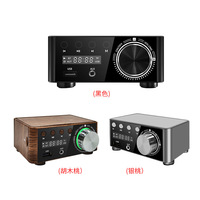 Mini lecteur MP3 sans perte RUIZEINC HiFi Fever avec amplificateur numérique de classe D 80W*2 DC9V-24V Interface USB Accessoire audio