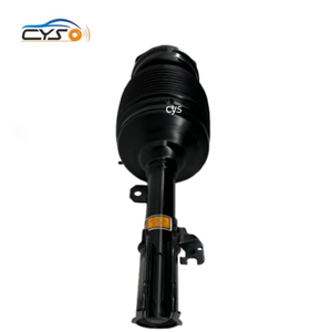 Amortisseurs de suspension pneumatique avant pour <span class=keywords><strong>Lexus</strong></span> <span class=keywords><strong>RX</strong></span> 2009 270 350 H 450 4801048075 4802048075 - Product Image 3