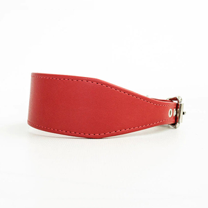 Collier de chien gravé durable réglable grandes races collier de chien rembourré doux - Product Image 6