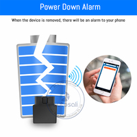 Localizador por satélite OBD para coche, dispositivo inalámbrico antirrobo, gestión de vehículos, navegación, Software gratuito, rastreador GPS 4G