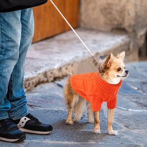 Jaket mantel kucing anak anjing warna polos klasik mode desain cetak perlengkapan hewan peliharaan untuk anjing untuk musim semi musim - Product Image 5