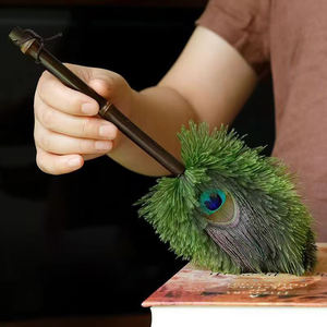 <span class=keywords><strong>Plumeau</strong></span> en plumes de paon <span class=keywords><strong>vert</strong></span> naturel réutilisable, écologique et économique pour le nettoyage de la maison et de la voiture - Product Image 3