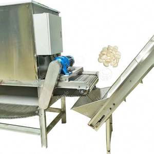 Machine d'épluchage de gingembre et d'ail automatique de bonne vente - Product Image 4