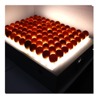 Type de table Testeur d'oeufs Egg Candler à vendre
