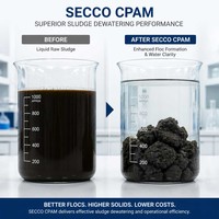 Polyacrylamide Cationique (CPAM) en Poudre Blanche, Floculant pour la Déshydratation des Boues et le Traitement de l'Eau