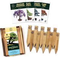 Meilleur kit de culture de coings japonais pour bonsaï kit de culture de jardin véritable bonsaï kit de culture d'encens mini kit de jardin pour bureau maison sac cadeau