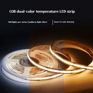 Bande <span class=keywords><strong>LED</strong></span> COB RGB, RGBW, adressable, pour projets commerciaux, intérieur/extérieur, découpable, IP65, IP67, IP68, bande <span class=keywords><strong>LED</strong></span> COB - Product Image 6