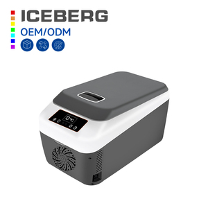 12 litres 12V 240v Portable camping boîte de refroidissement électrique voiture réfrigérateur voiture réfrigérateur - Product Image 1