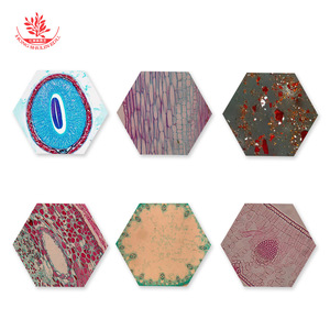 Producción de portaprobos de vidrio, departamentos de investigación científica, trabajos de investigación de estudiantes de posgrado de la escuela de medicina, envío de muestras. - Product Image 1