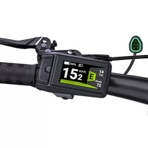 Bicicleta Eléctrica Económica para Adultos con Motor de 48V250W de Transmisión Media y 10 Velocidades, la <span class=keywords><strong>Mejor</strong></span> Oferta en Venta - Product Image 5