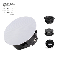 HiFi Tavan Hoparlörü 6.5 İnç 60W Aktif Koaksiyel Tam Aralıklı 60Hz-20kHz 89dB TI PCM5121 TPA3116D2 AirPlay DLNA Otel İçin CS-1