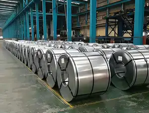 Factory Supply DX51D Gi Coil Galvanized Steel 0.5mm Gi Coil Galvanized Steel