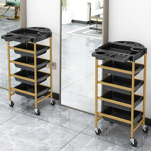 Beauty Salon Rolling Utility Cart Portable Cosmetic and Spa <b>Trolley</b> for Hairstylist and Tattoo Equipment Professional Stylist - Product Image 4