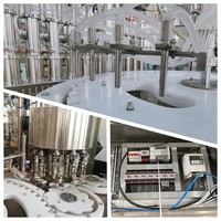 Machine de remplissage et de bouchage automatique électrique GZ-12-10 pour flacons en verre de 50 ml et 100 ml de sirop contre la toux à base de plantes et de liquides oraux, avec moteur et engrenage