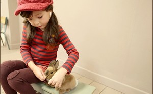 Venta al por Mayor en Línea de Ropa Infantil, Pantalones Casuales de Algodón para Niñas, de un Fabricante Chino - Product Image 5