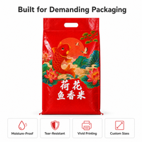 Sac en polypropylène tissé PP de 10 kg, imprimé sur mesure, pour le riz et les céréales, vente en gros