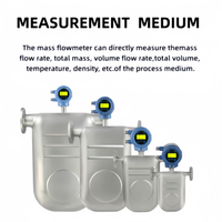 Industrial Process Coriolis Mass Flow Meter with High Accuracy for Liquid and Gas Measurement in Anhui China Factory Direct