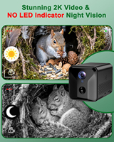 Boîte intelligente pour écureuils avec caméra, anti-prédateurs, caméra de surveillance pour animaux de compagnie 2K HD Wi-Fi pour la maison des écureuils, détection automatique et notification, vision nocturne