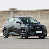 Mg Seagull 2025 Honor Edition 305KM Vitality Edit Electric Ev Car