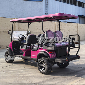 Voiturette de golf électrique avec batterie au lithium 48V, contrôleur et certification CE, vente directe d'usine - Product Image 3