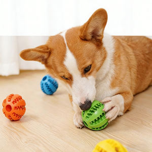 <span class=keywords><strong>Jouet</strong></span> à mâcher interactif <span class=keywords><strong>pour</strong></span> <span class=keywords><strong>chien</strong></span> en caoutchouc naturel <span class=keywords><strong>ultra</strong></span>-résistant, non toxique, résistant aux morsures, <span class=keywords><strong>pour</strong></span> le nettoyage des dents, OEM ODM - Product Image 3