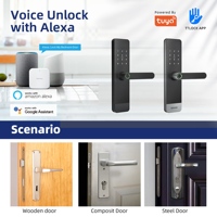 Cerradura Inteligente Comercial Liliwise, Manija de Puerta con Huella Dactilar, WiFi, Sin Llave, Manivela, Cerraduras Digitales para Puertas de Hogar, Estilo Europeo