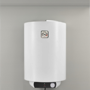 Chauffe-eau électrique 110V-240V stockage de chaleur 30L-100L capacité chauffe-eau de douche domestique produit par le fabricant - Product Image 5