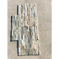 Panneaux de revêtement mural extérieur en pierre naturelle empilée, modernes et anti-acide, les plus vendus