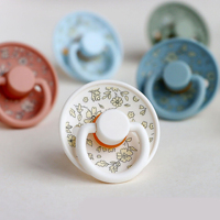 Sucette d'allaitement OEM ODM nouveau design, sans BPA, en PP, ultra douce, avec embout en silicone pour l'alimentation des bébés aux fruits