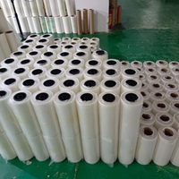 Envío rápido DTF PET película de impresión película de papel de transferencia A3 A3 + A4 30cm 33cm 43cm 60cm rollo de pelado en caliente instantáneo para impresión de camisetas de prendas de vestir