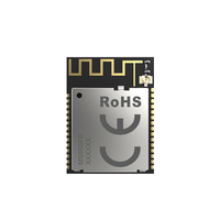 Módulos Inalámbricos RF Bluetooth Ble 5.4 de Largo Alcance de 600M con Malla ANT, LNA y PA de 2.4GH, compatibles con Zigbee Thread, nRF52840 nRF21540 Nórdicos