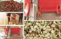 Prix de gros, petit pulpeur manuel de grains de café frais/machine à éplucher le café pour l'Afrique