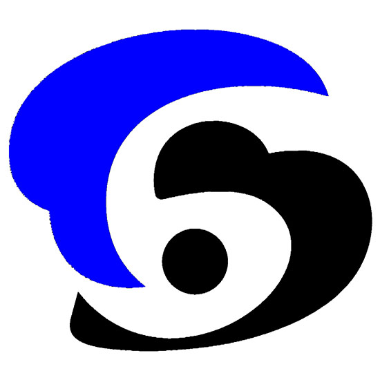 Qingdao Deson Marine Co., Ltd. logo
