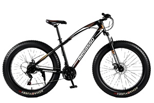 Venta caliente bicicleta de montaña 21/24/27/30 velocidad bicicleta de nieve personalizada MTB bicicleta - Product Image 2