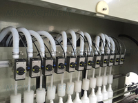 Machine de remplissage horizontale automatique multi-têtes pour liquides chimiques, anti-corrosion, pour eau de Javel