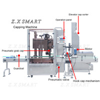 Ligne de remplissage et de bouchage automatique ZXSMART à 3 buses avec suivi de la bouteille et tête de bouchage unique, 40 BPM, pour détergent liquide et eau de Javel