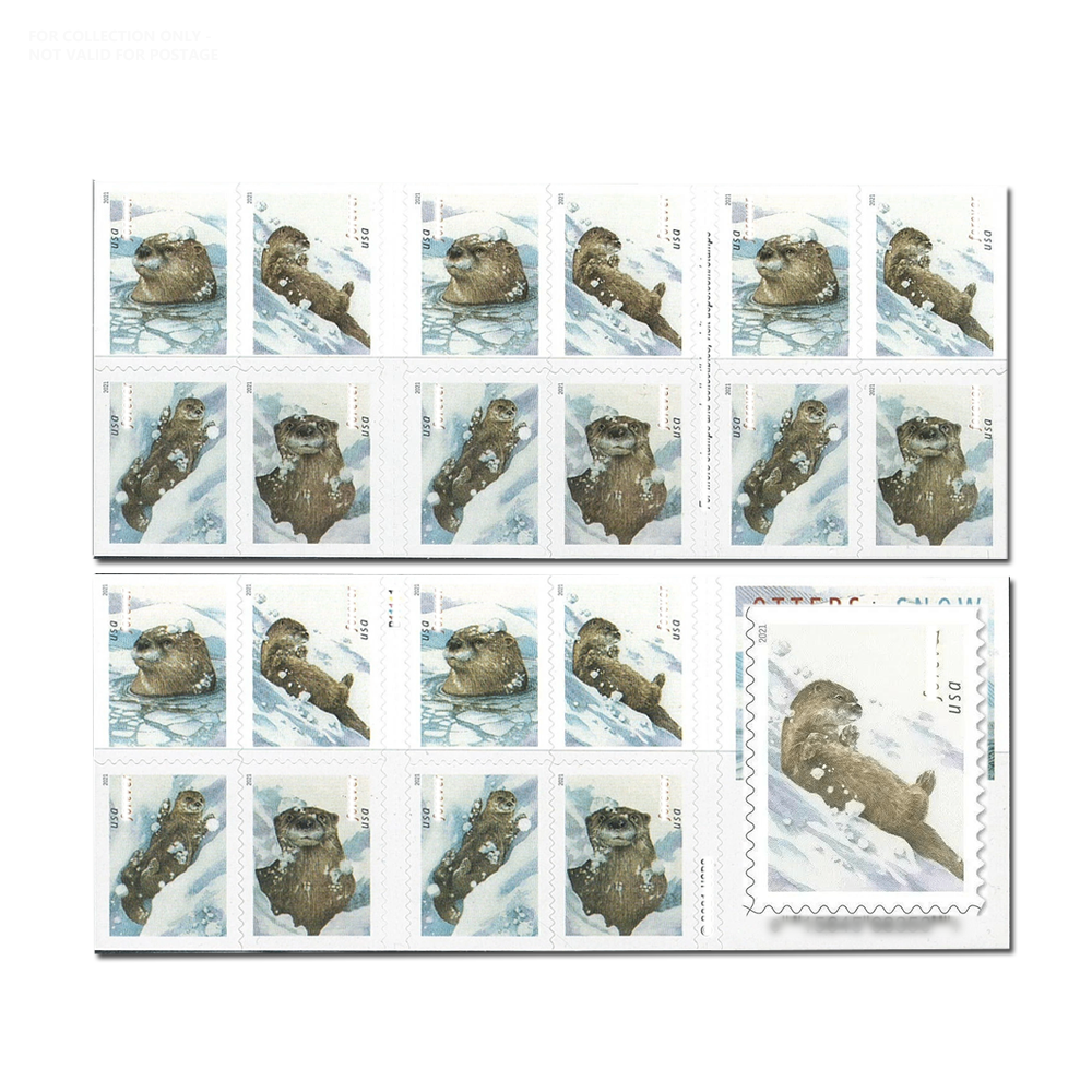 Blanc Y15 2021 Loutres dans la neige