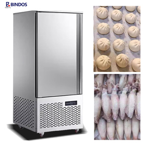Congelador Comercial de Ultra Baja Temperatura para Congelación Rápida de Mariscos a -40 Grados, Refrigerador Vertical para Cocina Industrial - Product Image 6