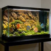 Panneau de fond en PU pour aquarium, décoration paysagère, effet pierre de dragon 3D artificielle, imperméable, pour aquarium
