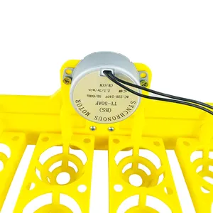 24 Frango Egg Bandeja Flor cesta Tipo ac220v ac110v dc12v incubadora virar ovos motor farm