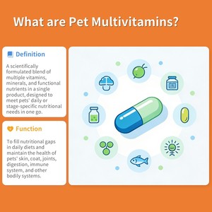 <span class=keywords><strong>Multivitamin</strong></span> untuk Anjing & Kucing Senior untuk Metabolisme Saraf, Sendi, Otak, Hati, dan Vitalitas Keseluruhan pada Hewan Peliharaan yang Menua 11-in-1 - Product Image 2