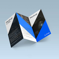 Société Popularize Flyer Printing Service Plié Dépliant Entreprise Introduction Manuel Impression numérique Z-fold Brochure