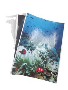 Papel Fotográfico de Doble Cara Brillante y Mate de 90g-300g para Impresión de Fotos por Inyección de Tinta - Product Image 4