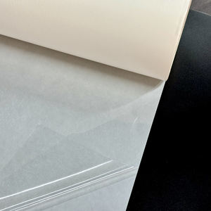 무료 샘플 의류용 열 프레스 다리미 양면 Tpu 핫멜트 접착 필름 - Product Image 2