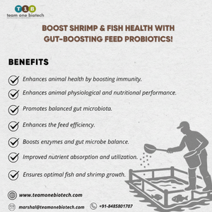 Additif probiotique pour aliments pour poissons, probiotiques de haute qualité pour la santé des poissons - Product Image 1