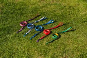 Correa de perro de lujo con absorción de golpes duradera correa de perro personalizada sólida para caminar correa de perro mascota de Pvc - Product Image 4