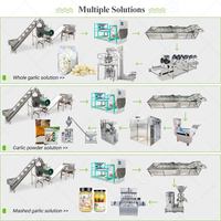 Droge knoflookpeller sorteermachine, elektrisch pneumatisch, kleine sorteerkettingmachine, proces, fabricage, prijs