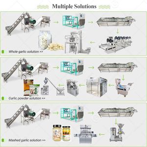 Máquina Eléctrica Neumática Pequeña de Tipo Cadena para Pelar y Clasificar Ajo Seco: Procesamiento y Fabricación a Precio Competitivo - Product Image 3